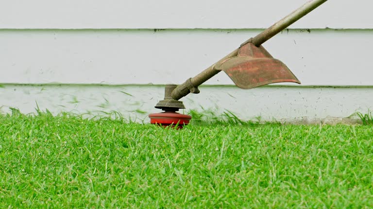 How Our Tree Care Process Works  in  Waverly, NY