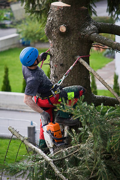 Leaf Removal in Waverly, NY